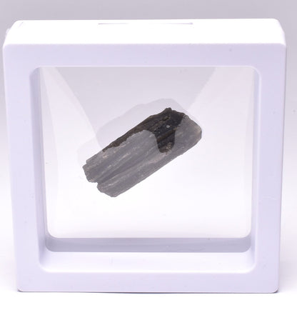 DARWIN GLASS, Meteorite Impact melt, AUSTRALIA MT214