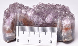 AMETHYST CRYSTAL CAT CLUSTER, FROM BRAZIL P23