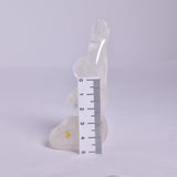 QUARTZ FEMALE YOGA POSE P119