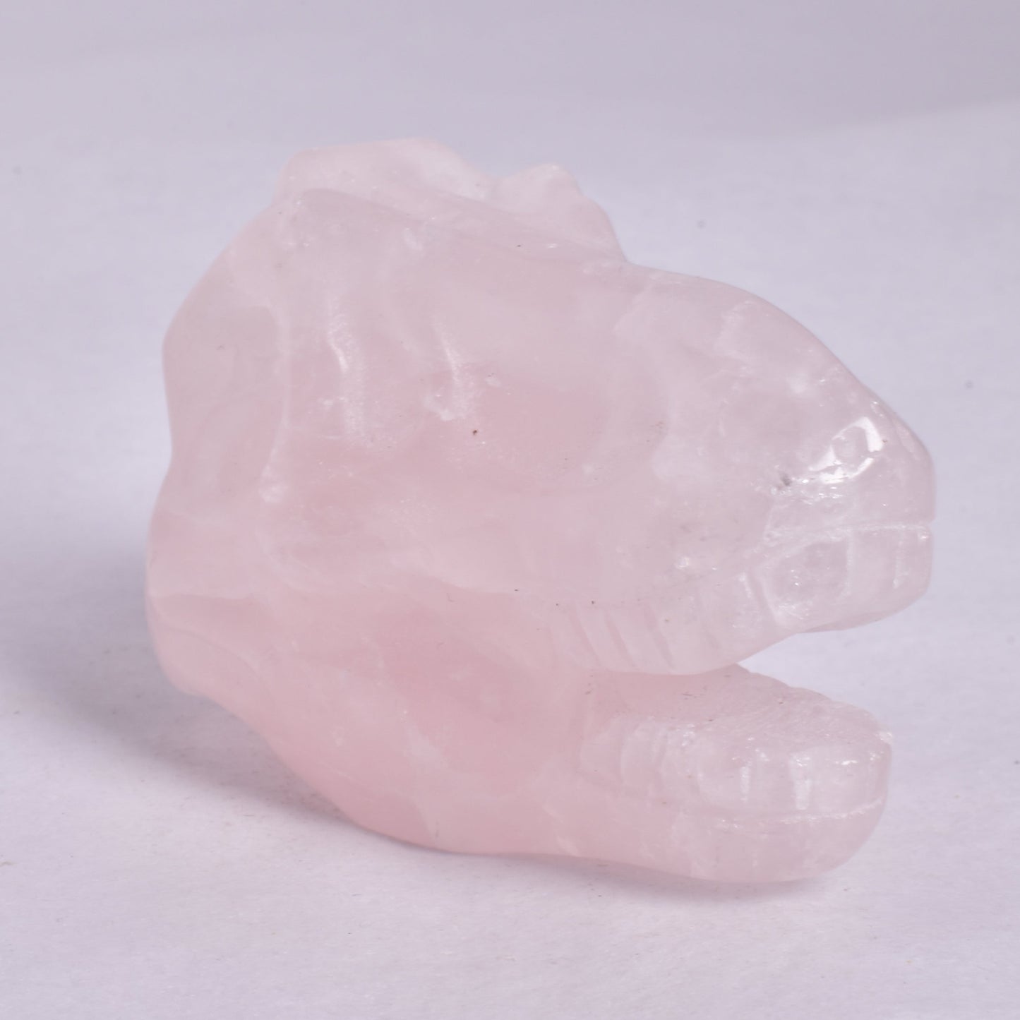 ROSE QUARTZ T-REX DINOSAUR SKULL P202