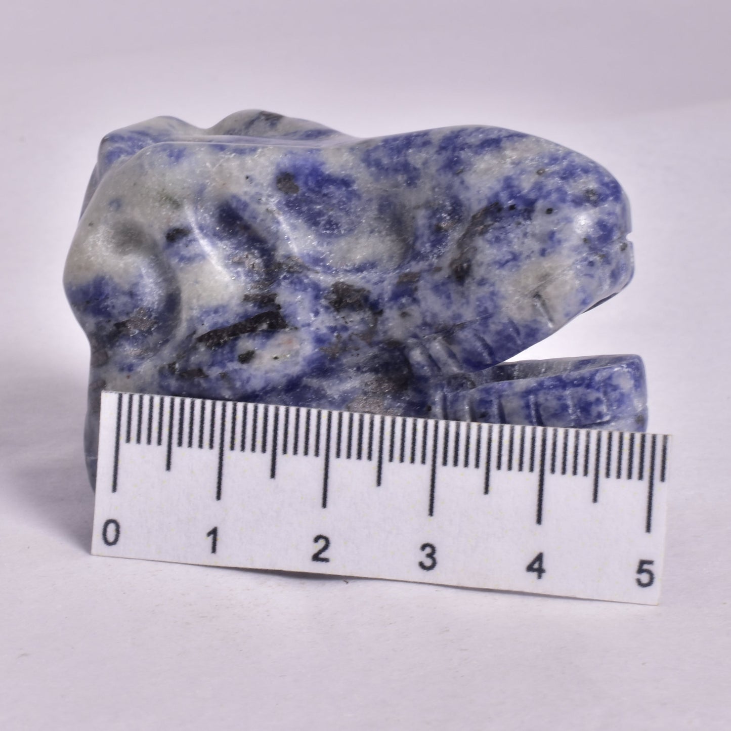 SODALITE T-REX DINOSAUR SKULL P203