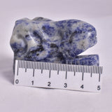 SODALITE T-REX DINOSAUR SKULL P203