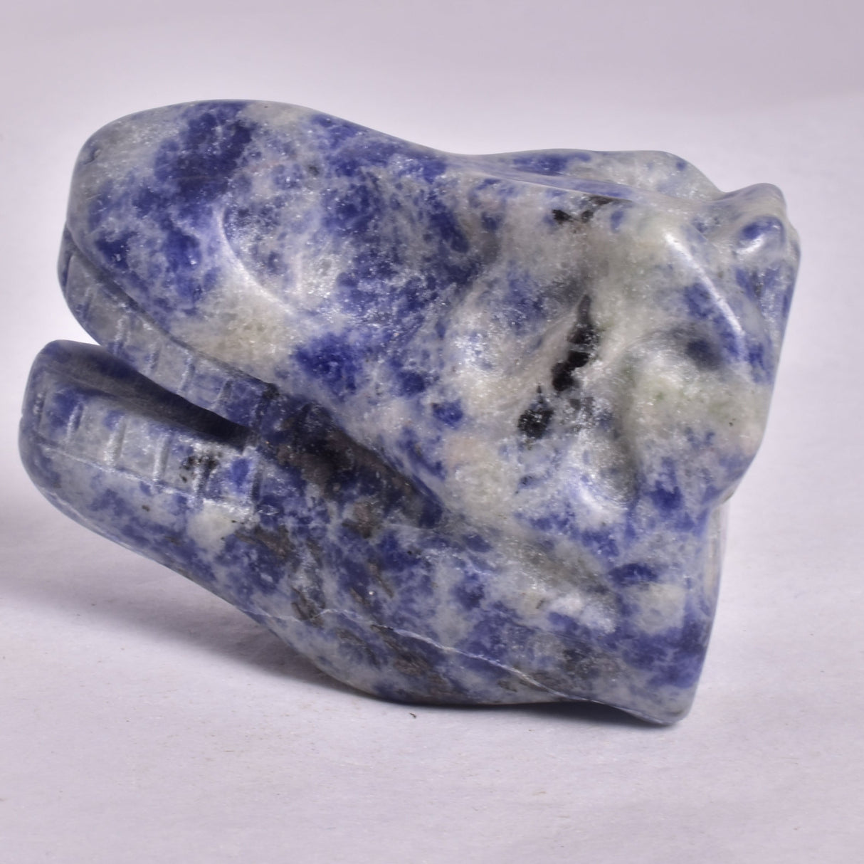 SODALITE T-REX DINOSAUR SKULL P203