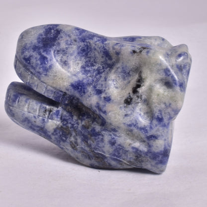 SODALITE T-REX DINOSAUR SKULL P203