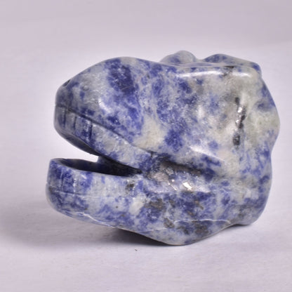 SODALITE T-REX DINOSAUR SKULL P203