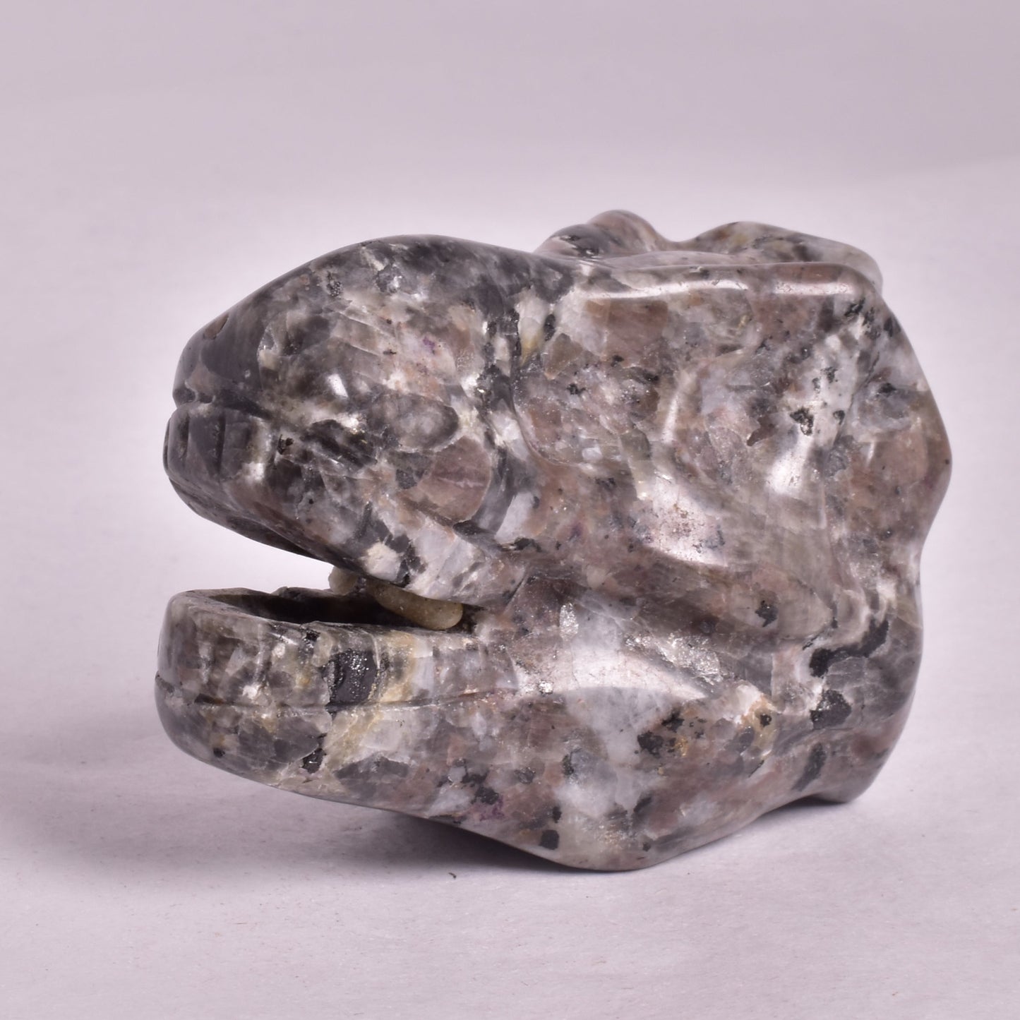 YOOPERLITE FIRESTONE T-REX DINOSAUR SKULL P537