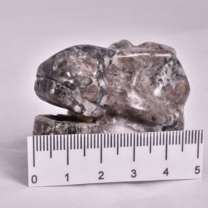 YOOPERLITE FIRESTONE T-REX DINOSAUR SKULL P537