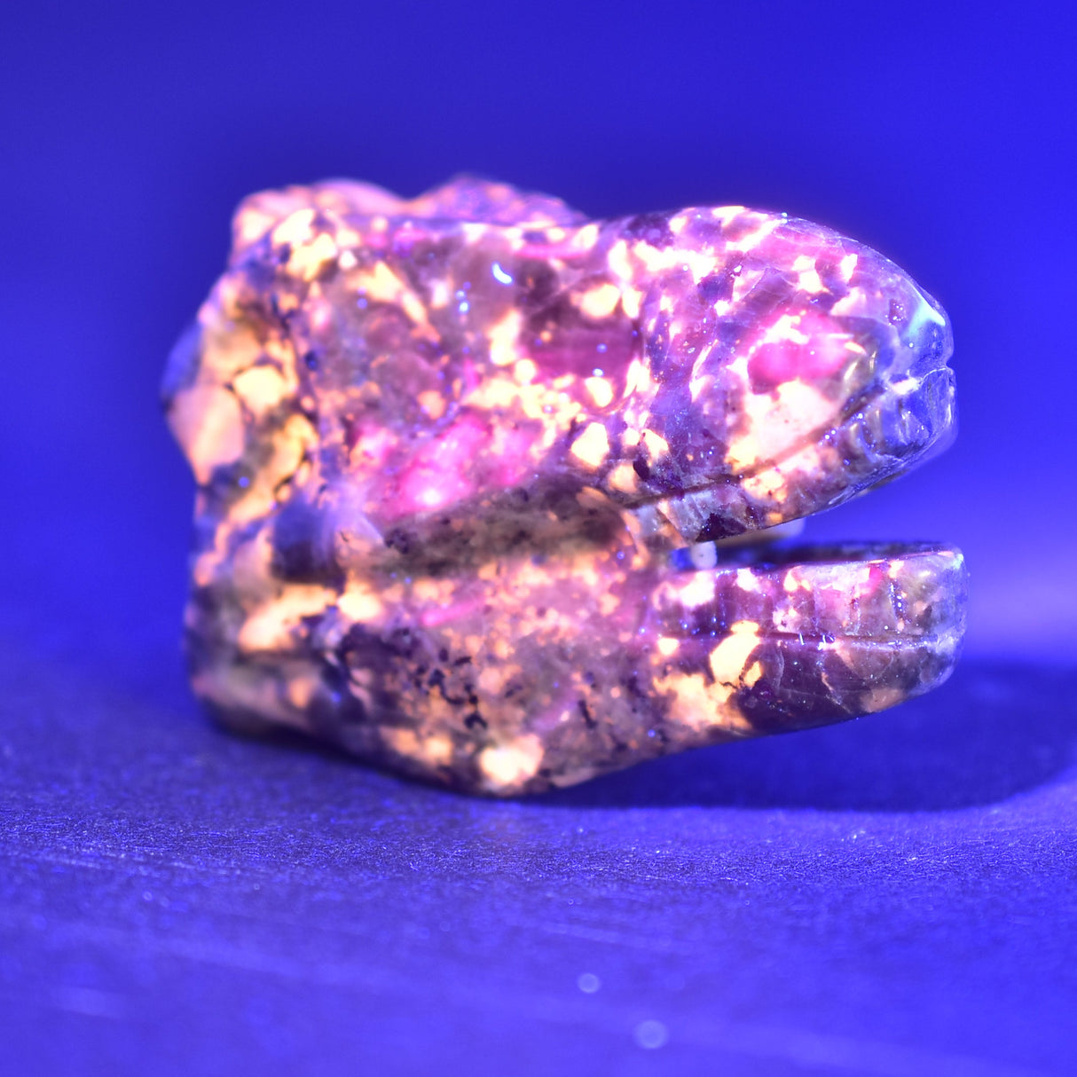 YOOPERLITE FIRESTONE T-REX DINOSAUR SKULL P537