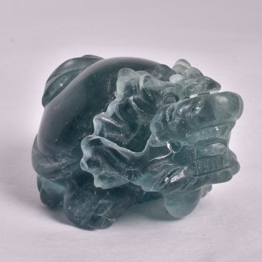 FLUORITE DRAGON TURTLE P538