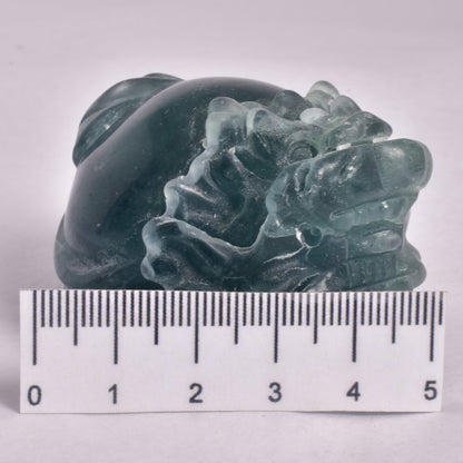 FLUORITE DRAGON TURTLE P538