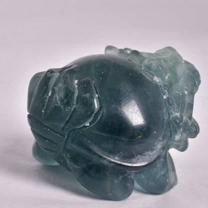 FLUORITE DRAGON TURTLE P538
