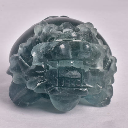 FLUORITE DRAGON TURTLE P538