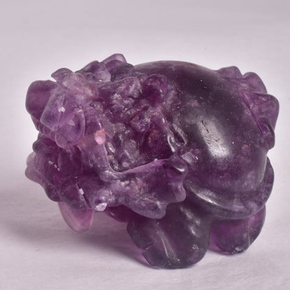 FLUORITE DRAGON TURTLE P540