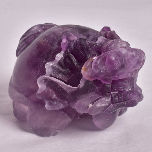 FLUORITE DRAGON TURTLE P540