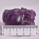 FLUORITE DRAGON TURTLE P540