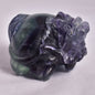FLUORITE DRAGON TURTLE P541