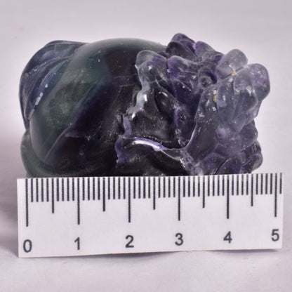 FLUORITE DRAGON TURTLE P541