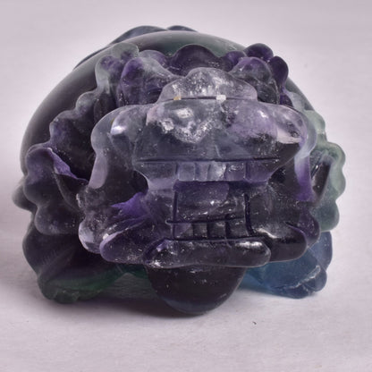 FLUORITE DRAGON TURTLE P541