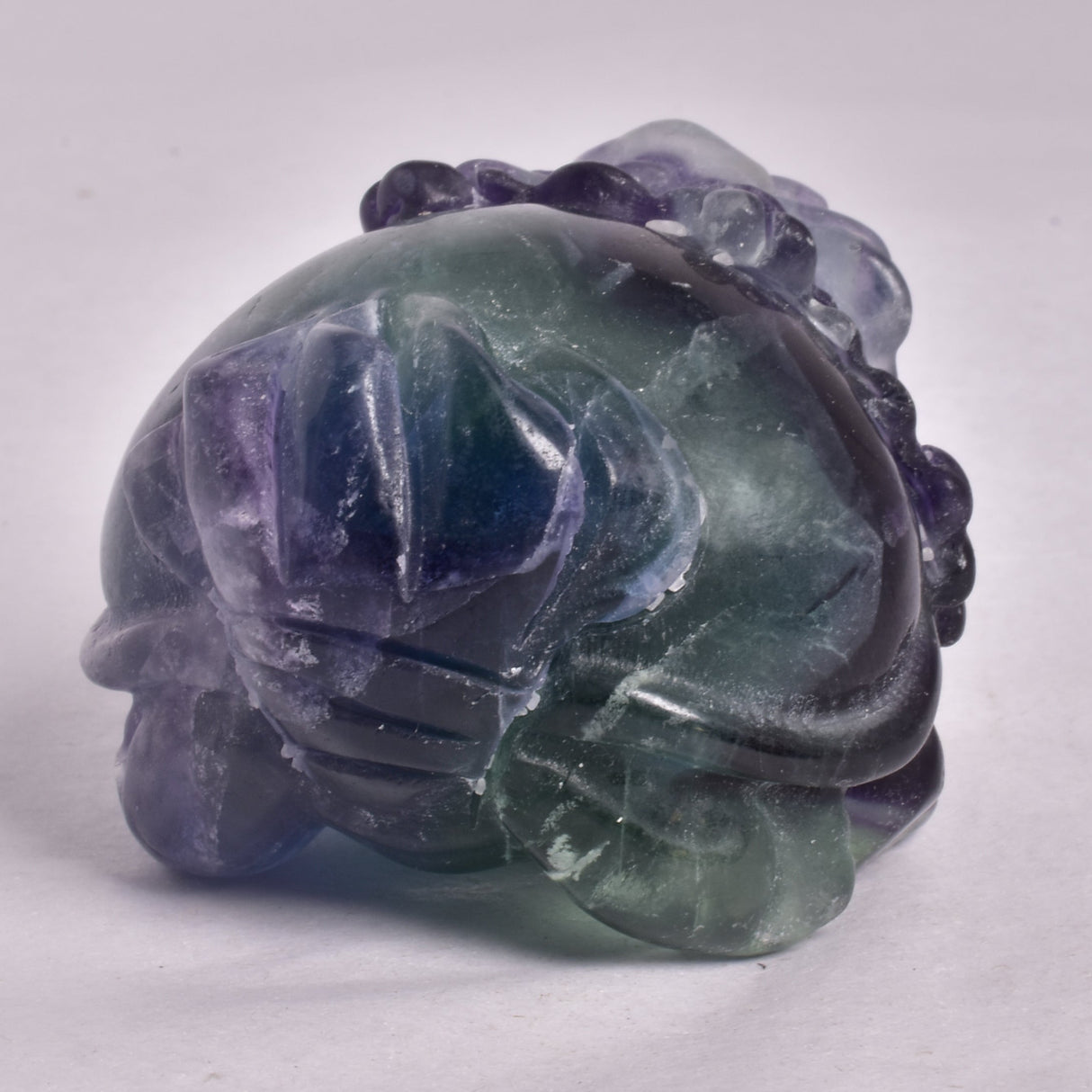FLUORITE DRAGON TURTLE P541