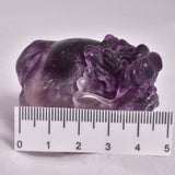 FLUORITE DRAGON TURTLE P581