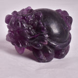 FLUORITE DRAGON TURTLE P581