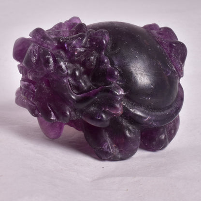 FLUORITE DRAGON TURTLE P581