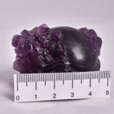 FLUORITE DRAGON TURTLE P581