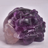 FLUORITE DRAGON TURTLE P581