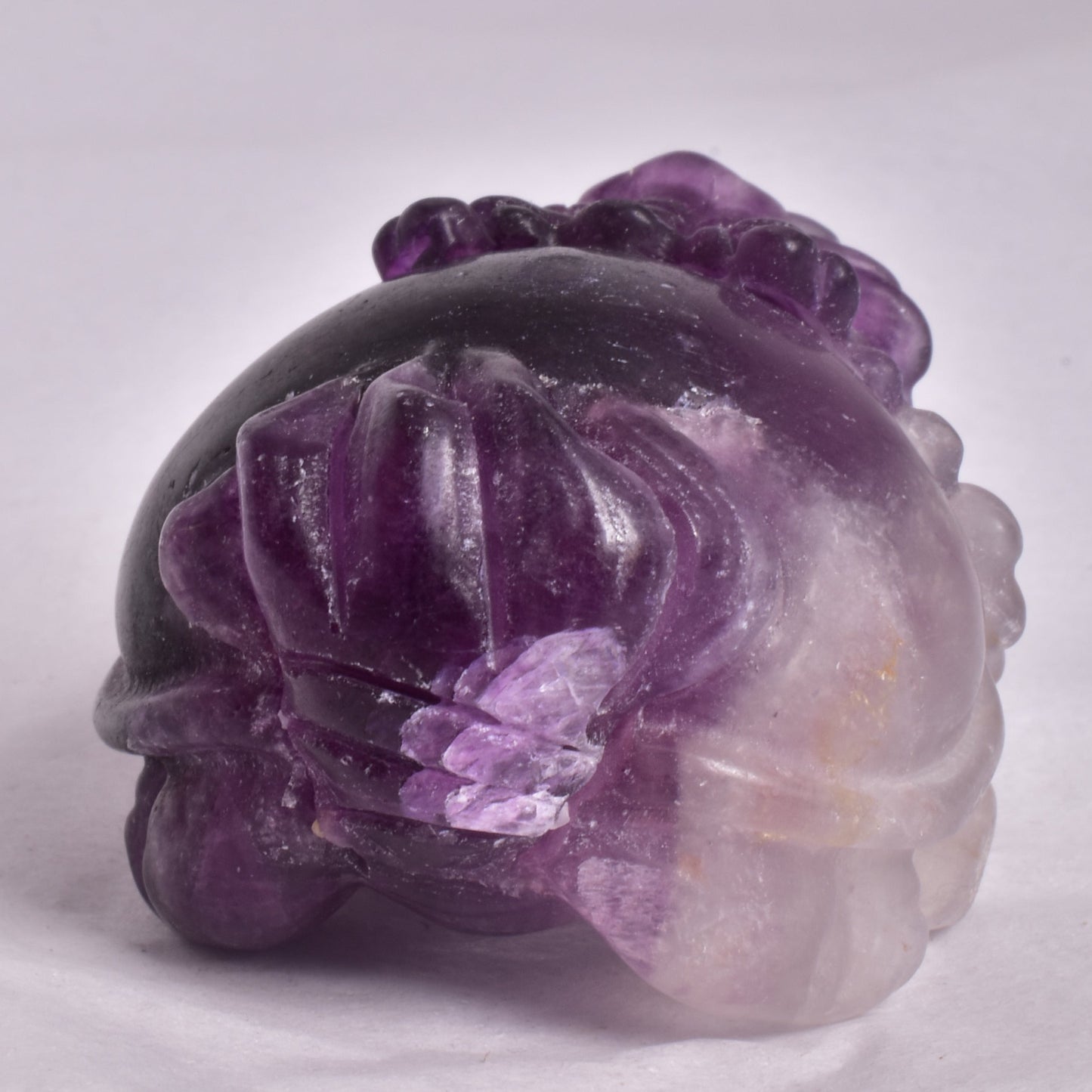 FLUORITE DRAGON TURTLE P581