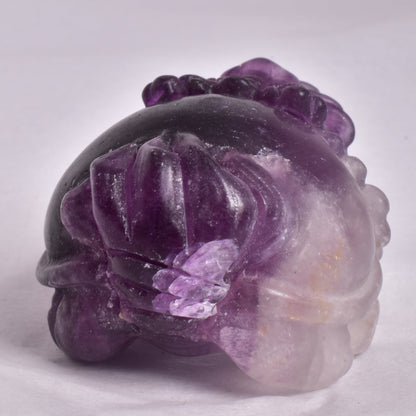 FLUORITE DRAGON TURTLE P581