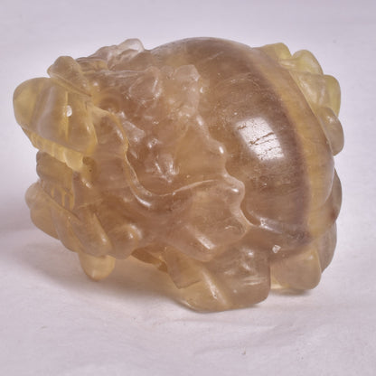 FLUORITE DRAGON TURTLE P584