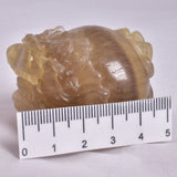 FLUORITE DRAGON TURTLE P584
