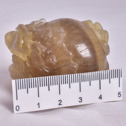 FLUORITE DRAGON TURTLE P584