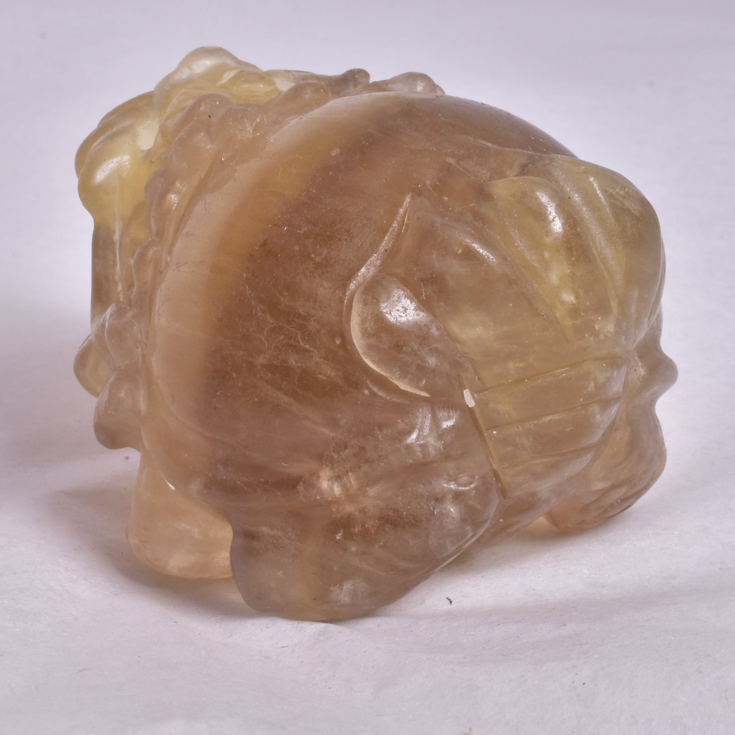 FLUORITE DRAGON TURTLE P584