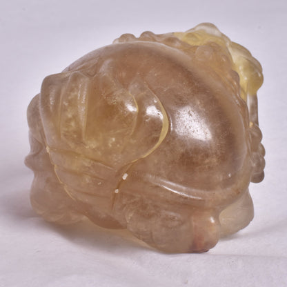 FLUORITE DRAGON TURTLE P584