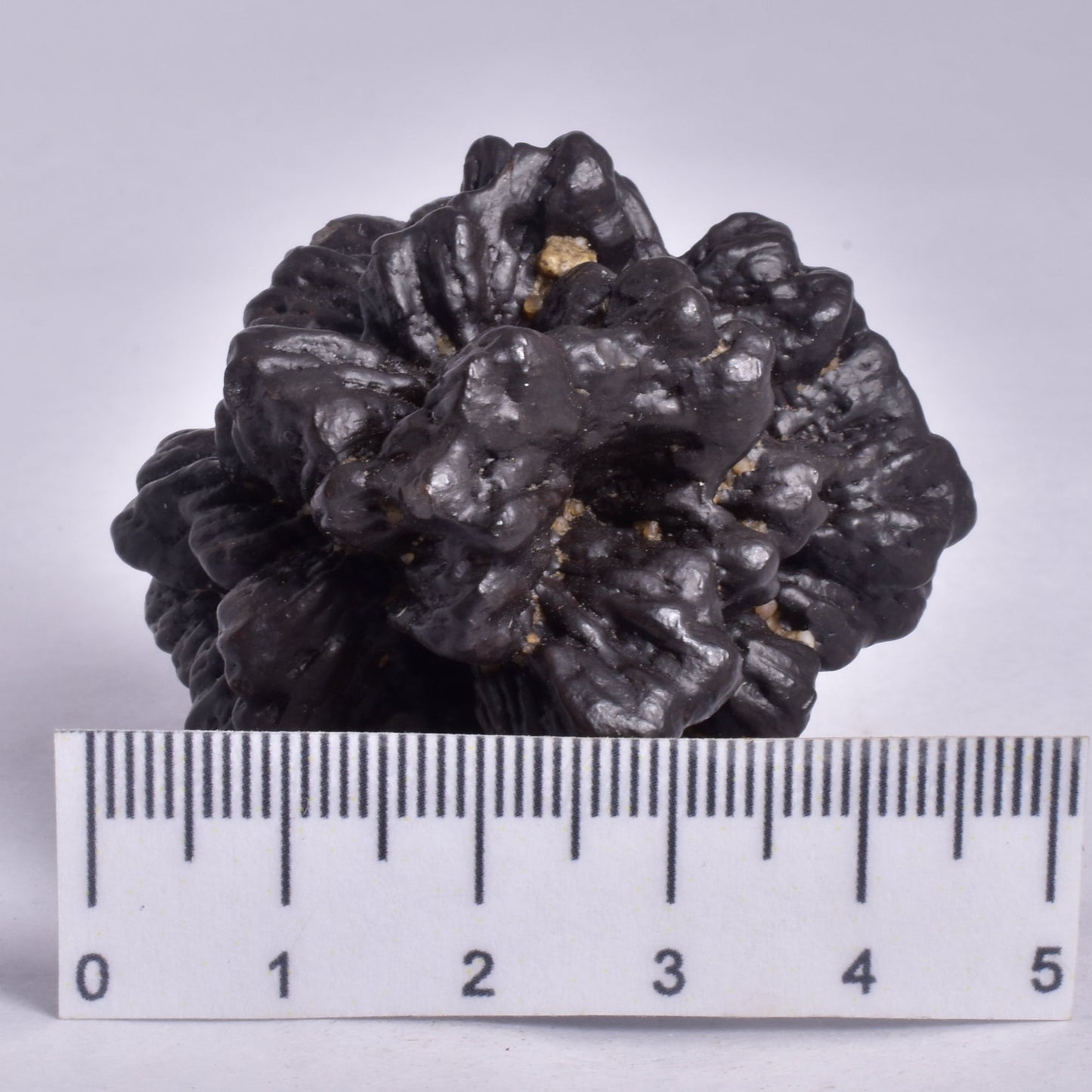 RARE PROPHECY STONE P110