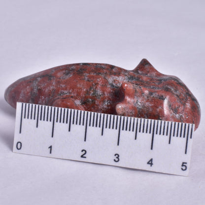 BRECCIATED JASPER AXOLTL CARVING P1077