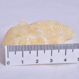 ORANGE CALCITE AXOLTL CARVING P422