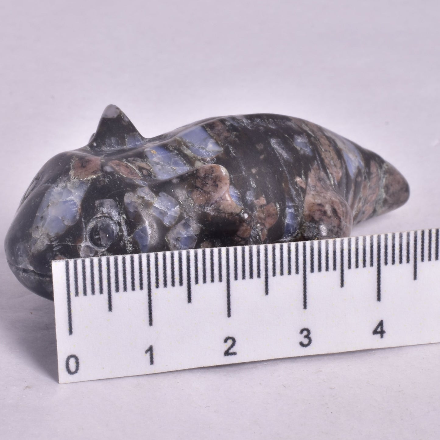 QUE SERA AXOLTL CARVING P1078