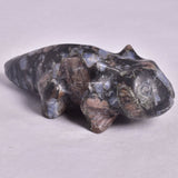 QUE SERA AXOLTL CARVING P1078