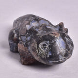 QUE SERA AXOLTL CARVING P1078