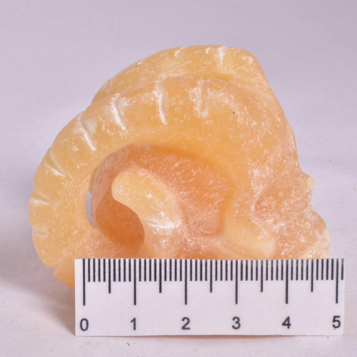 ORANGE CALCITE SKULL WITH RAM HORNS P420