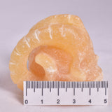 ORANGE CALCITE SKULL WITH RAM HORNS P420