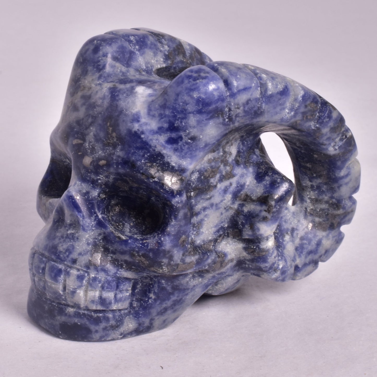 SODALITE SKULL WITH RAM HORNS P831