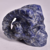 SODALITE SKULL WITH RAM HORNS P831