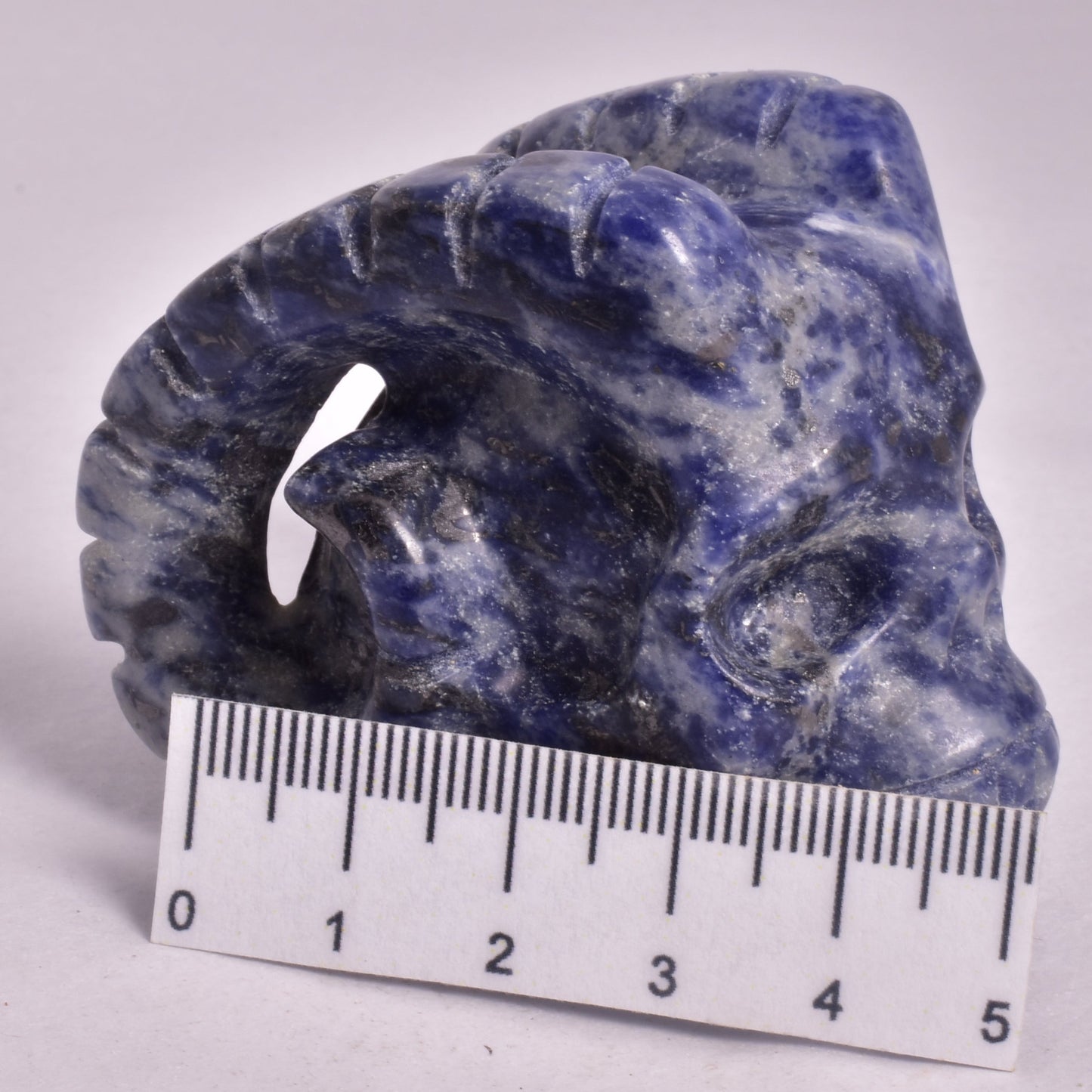 SODALITE SKULL WITH RAM HORNS P831