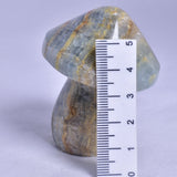 BLUE ONYX MUSHROOM CARVING P474