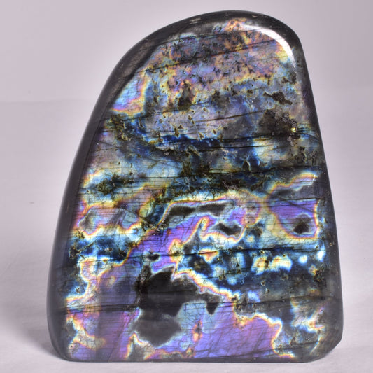 LABRADORITE POLISHED FREEFORM P483