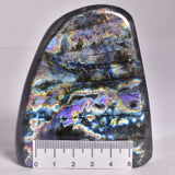 LABRADORITE POLISHED FREEFORM P483