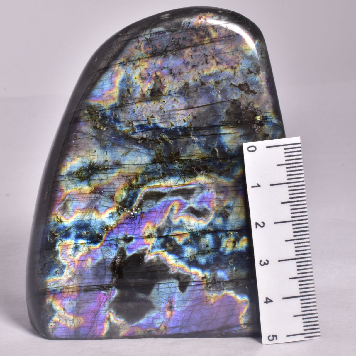 LABRADORITE POLISHED FREEFORM P483